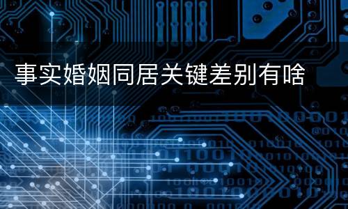 事实婚姻同居关键差别有啥