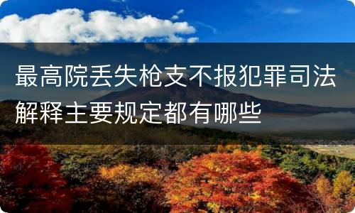 最高院丢失枪支不报犯罪司法解释主要规定都有哪些