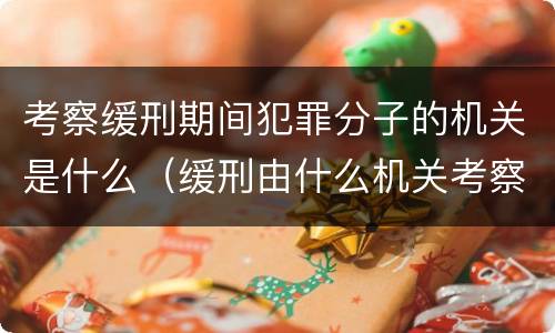考察缓刑期间犯罪分子的机关是什么（缓刑由什么机关考察）