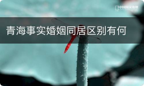 青海事实婚姻同居区别有何