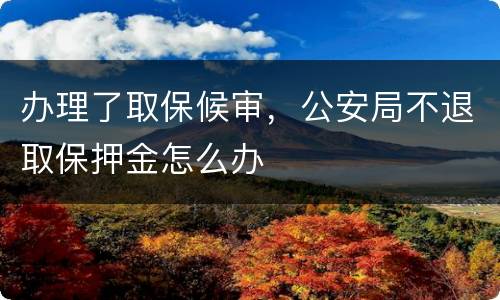 办理了取保候审，公安局不退取保押金怎么办