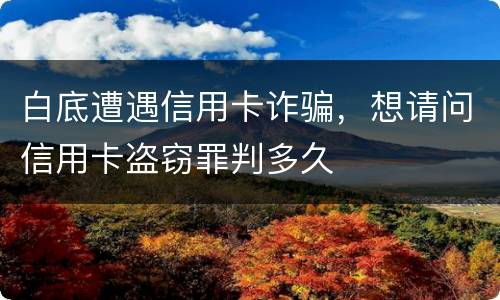 白底遭遇信用卡诈骗，想请问信用卡盗窃罪判多久
