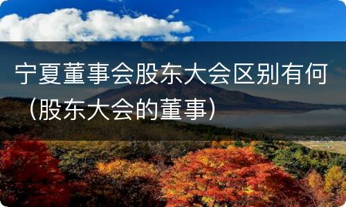 宁夏董事会股东大会区别有何（股东大会的董事）