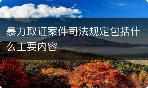 暴力取证案件司法规定包括什么主要内容