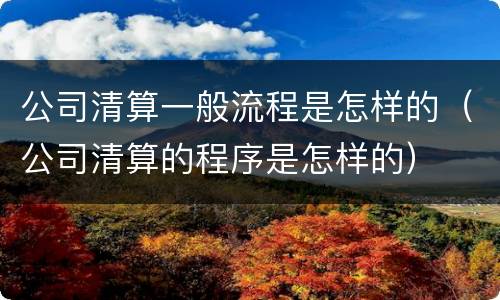 公司清算一般流程是怎样的（公司清算的程序是怎样的）