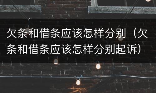 欠条和借条应该怎样分别（欠条和借条应该怎样分别起诉）