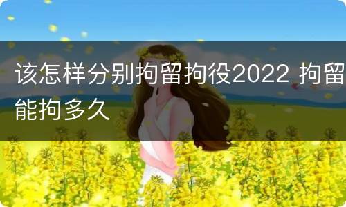 该怎样分别拘留拘役2022 拘留能拘多久