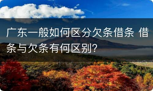 广东一般如何区分欠条借条 借条与欠条有何区别?