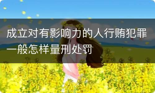 成立对有影响力的人行贿犯罪一般怎样量刑处罚