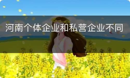 河南个体企业和私营企业不同