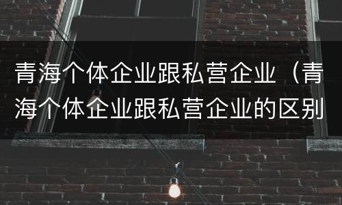 青海个体企业跟私营企业（青海个体企业跟私营企业的区别）
