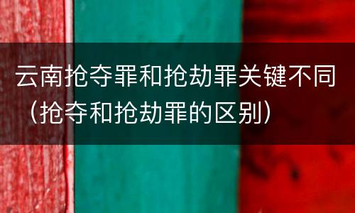 云南抢夺罪和抢劫罪关键不同（抢夺和抢劫罪的区别）