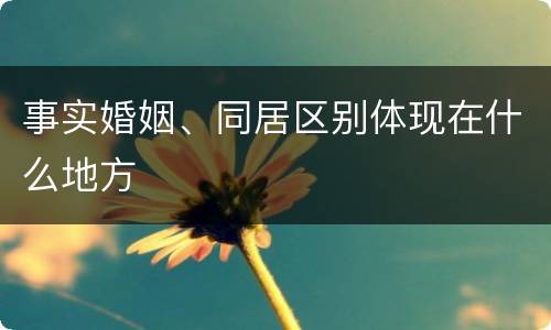 事实婚姻、同居区别体现在什么地方
