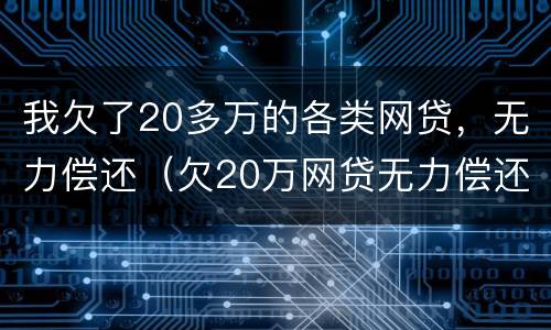 我欠了20多万的各类网贷，无力偿还（欠20万网贷无力偿还会怎么样）