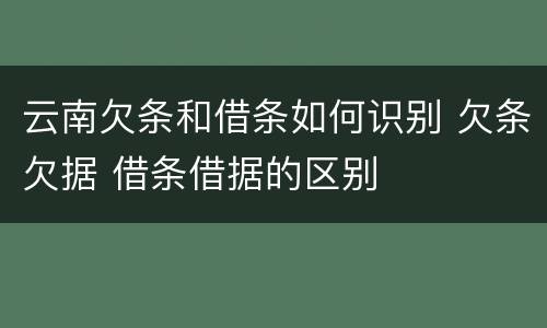 云南欠条和借条如何识别 欠条欠据 借条借据的区别