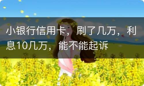 小银行信用卡，刷了几万，利息10几万，能不能起诉