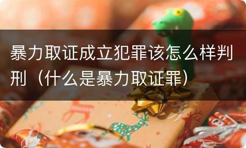 暴力取证成立犯罪该怎么样判刑（什么是暴力取证罪）