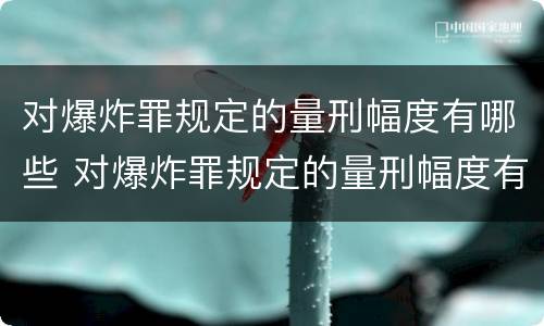 对爆炸罪规定的量刑幅度有哪些 对爆炸罪规定的量刑幅度有哪些要求