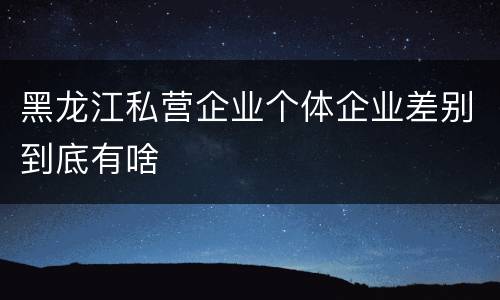 黑龙江私营企业个体企业差别到底有啥