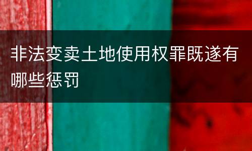 非法变卖土地使用权罪既遂有哪些惩罚