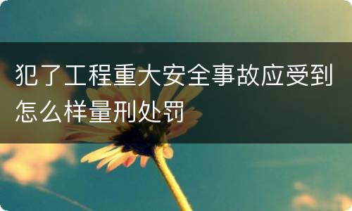 犯了工程重大安全事故应受到怎么样量刑处罚