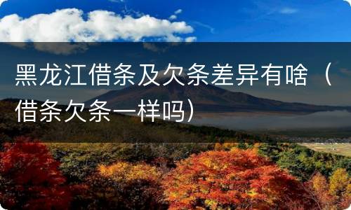 黑龙江借条及欠条差异有啥（借条欠条一样吗）