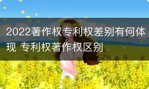 2022著作权专利权差别有何体现 专利权著作权区别