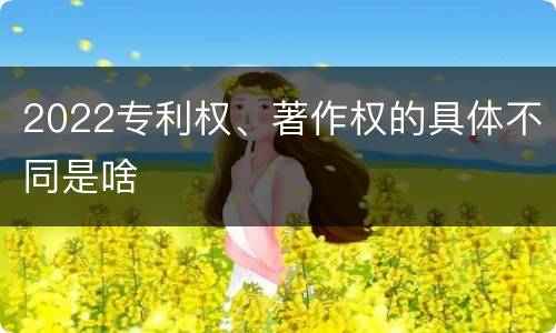 2022专利权、著作权的具体不同是啥