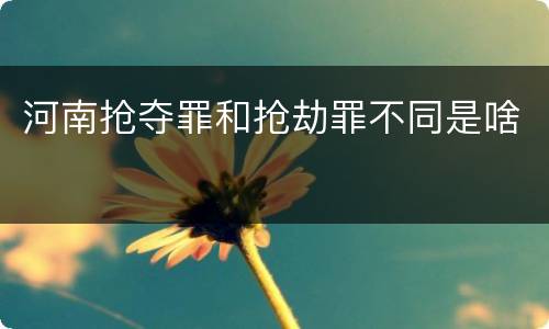 河南抢夺罪和抢劫罪不同是啥