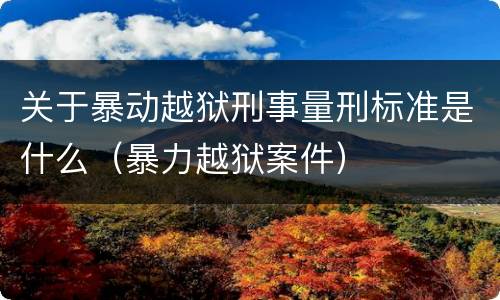 关于暴动越狱刑事量刑标准是什么（暴力越狱案件）