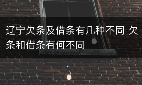 辽宁欠条及借条有几种不同 欠条和借条有何不同