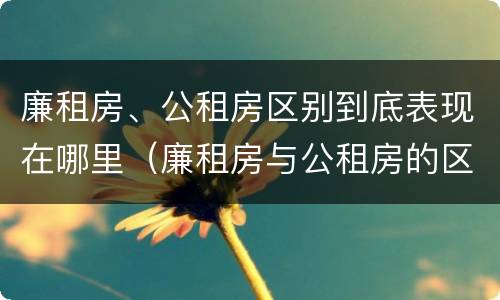 廉租房、公租房区别到底表现在哪里（廉租房与公租房的区别在哪里）