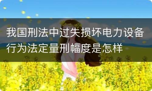 我国刑法中过失损坏电力设备行为法定量刑幅度是怎样