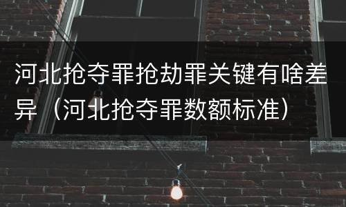河北抢夺罪抢劫罪关键有啥差异（河北抢夺罪数额标准）