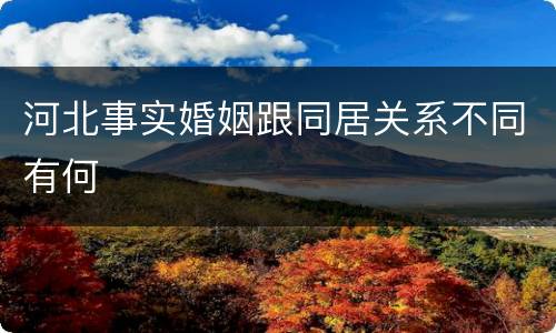 河北事实婚姻跟同居关系不同有何