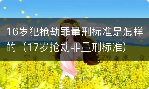 16岁犯抢劫罪量刑标准是怎样的（17岁抢劫罪量刑标准）