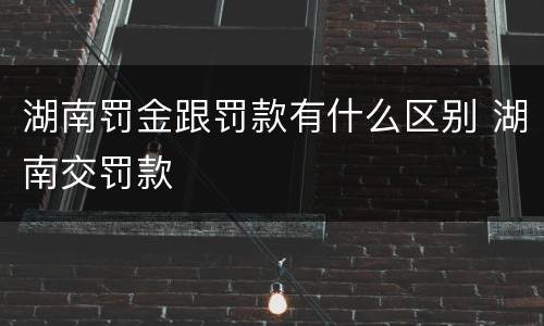 湖南罚金跟罚款有什么区别 湖南交罚款