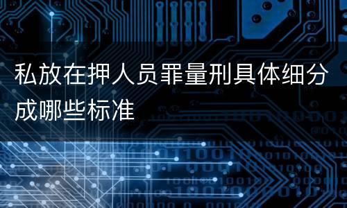 私放在押人员罪量刑具体细分成哪些标准