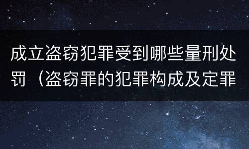 成立盗窃犯罪受到哪些量刑处罚（盗窃罪的犯罪构成及定罪处罚）