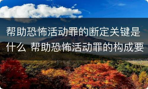 帮助恐怖活动罪的断定关键是什么 帮助恐怖活动罪的构成要件