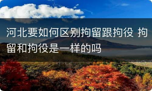 河北要如何区别拘留跟拘役 拘留和拘役是一样的吗
