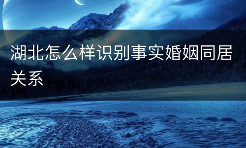 湖北怎么样识别事实婚姻同居关系