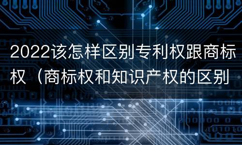 2022该怎样区别专利权跟商标权（商标权和知识产权的区别）