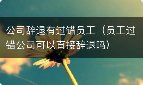 公司辞退有过错员工（员工过错公司可以直接辞退吗）