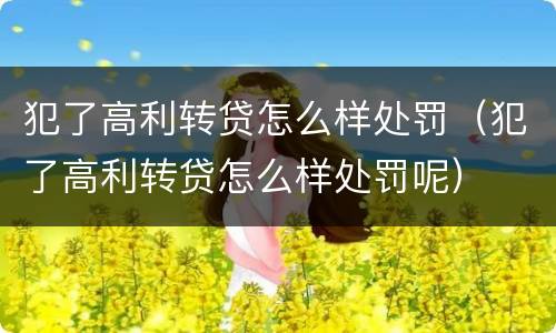 犯了高利转贷怎么样处罚（犯了高利转贷怎么样处罚呢）