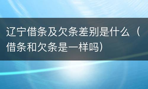 辽宁借条及欠条差别是什么（借条和欠条是一样吗）