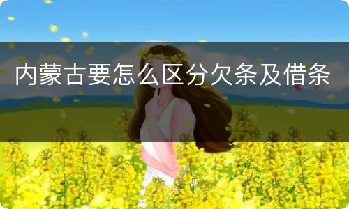 内蒙古要怎么区分欠条及借条