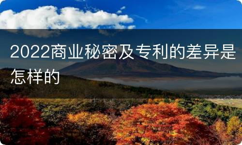 2022商业秘密及专利的差异是怎样的