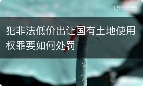 犯非法低价出让国有土地使用权罪要如何处罚