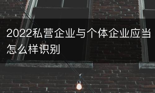 2022私营企业与个体企业应当怎么样识别
